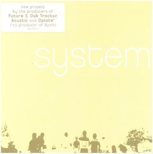 System