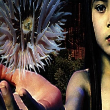 Lifeforms