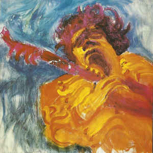 The Jimi Hendrix Concerts