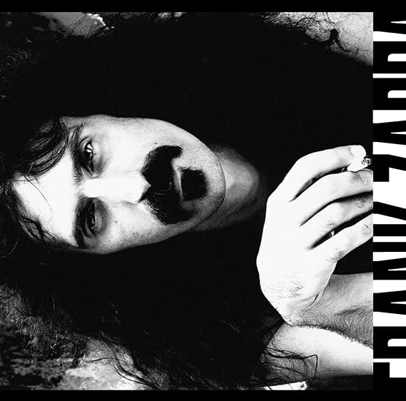 Understanding America