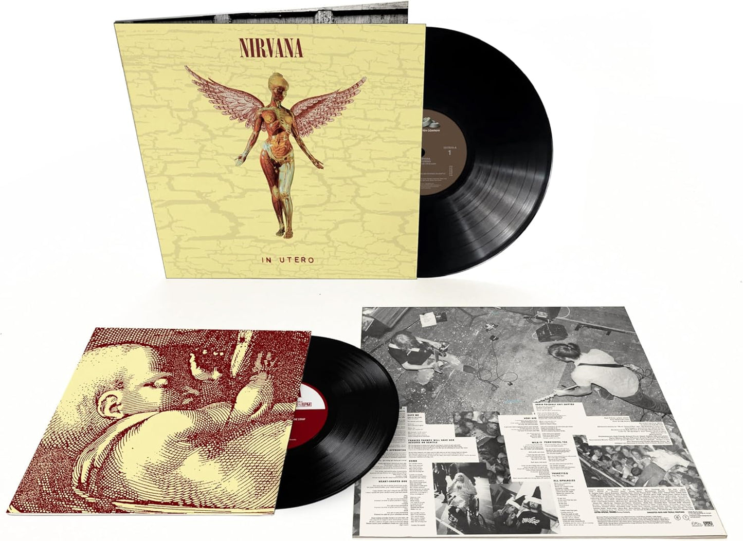 In Utero Limited Edition
