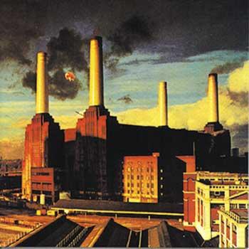 Animals