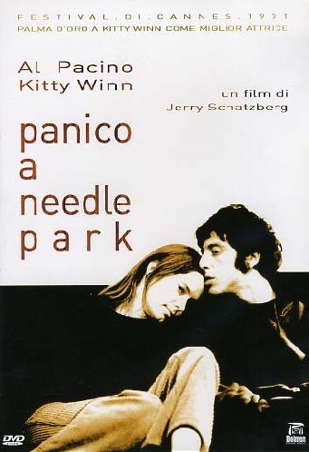 Panico A Needle Park