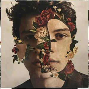 Shawn Mendes 602567569497