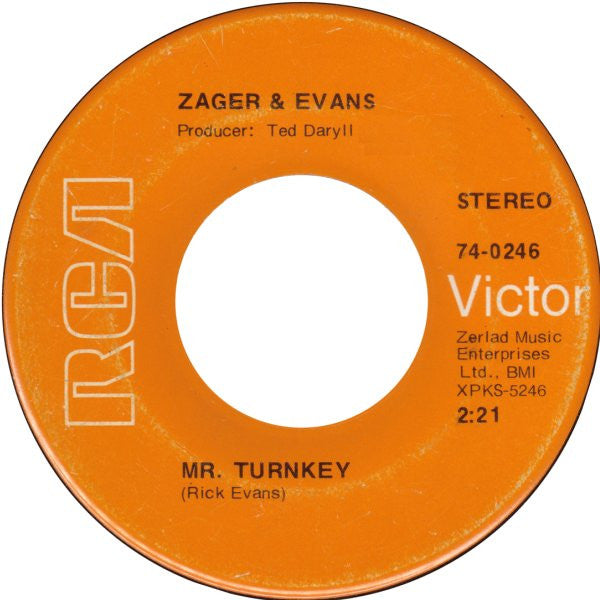 Mr. Turnkey / Cary Lynn Javes