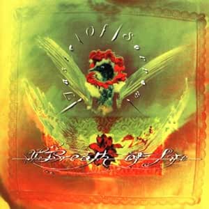 Taste Of Sorrow