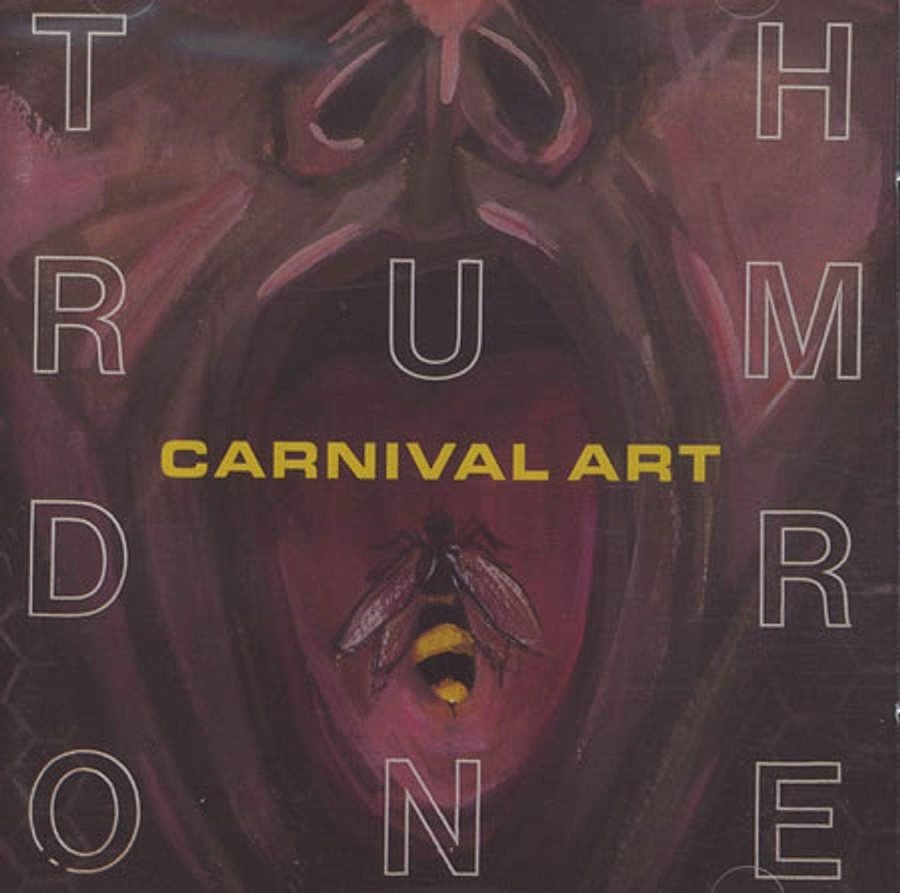 Thrumdrone
