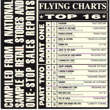 Flying Charts