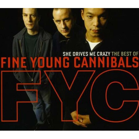 She Drives Me Crazy The Best Of