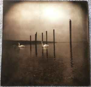 Conference Of The Birds