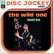 The Wild One / Shake My Sugar