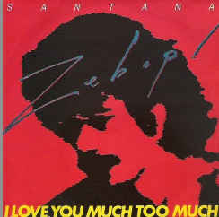 I Love You Much Too Much / Brightest Star