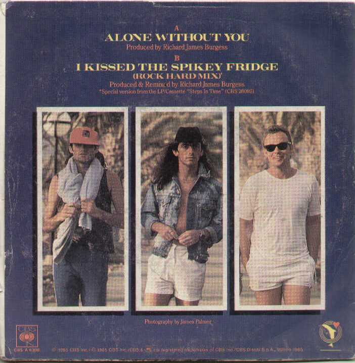 Alone Without You / I Kissed The Spikey Fridge