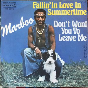 Fallin In Love In Summertime / Don't Wont You To Leave Me