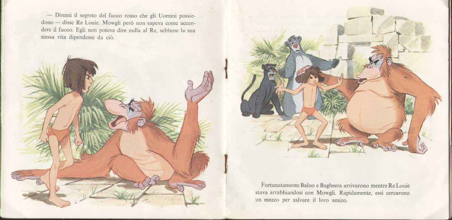 Il Libro Della Giungla