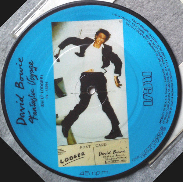 Boys Keep Swinging / Fantastic Voyage Picture Disc