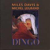Dingo