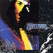 Spirits Dancing In The Flesh