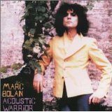 Acoustic Warrior