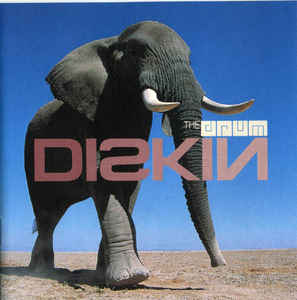 Diskin
