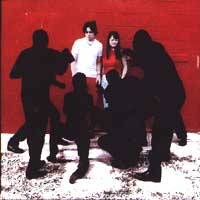 White Blood Cells
