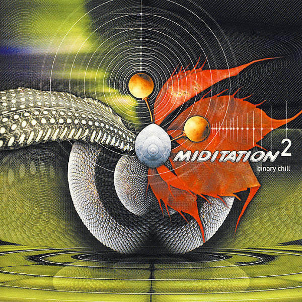 Miditation 2 Binary Chill