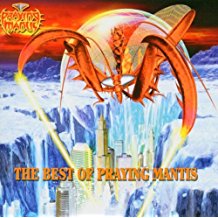 Best Of Praying Mantis
