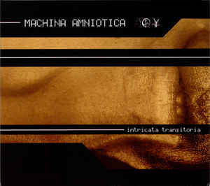 Intricata Transitoria