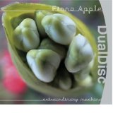 Extraordinary Machine Dual Disc