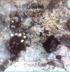Crystal Soup Bobus Cd-Rom