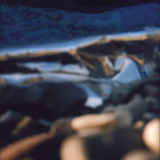 Bluviola