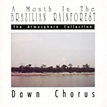 A Month In The Brazilian Rainforest Dawn Chorus
