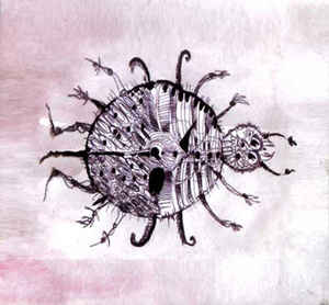 Ex Perimento 5