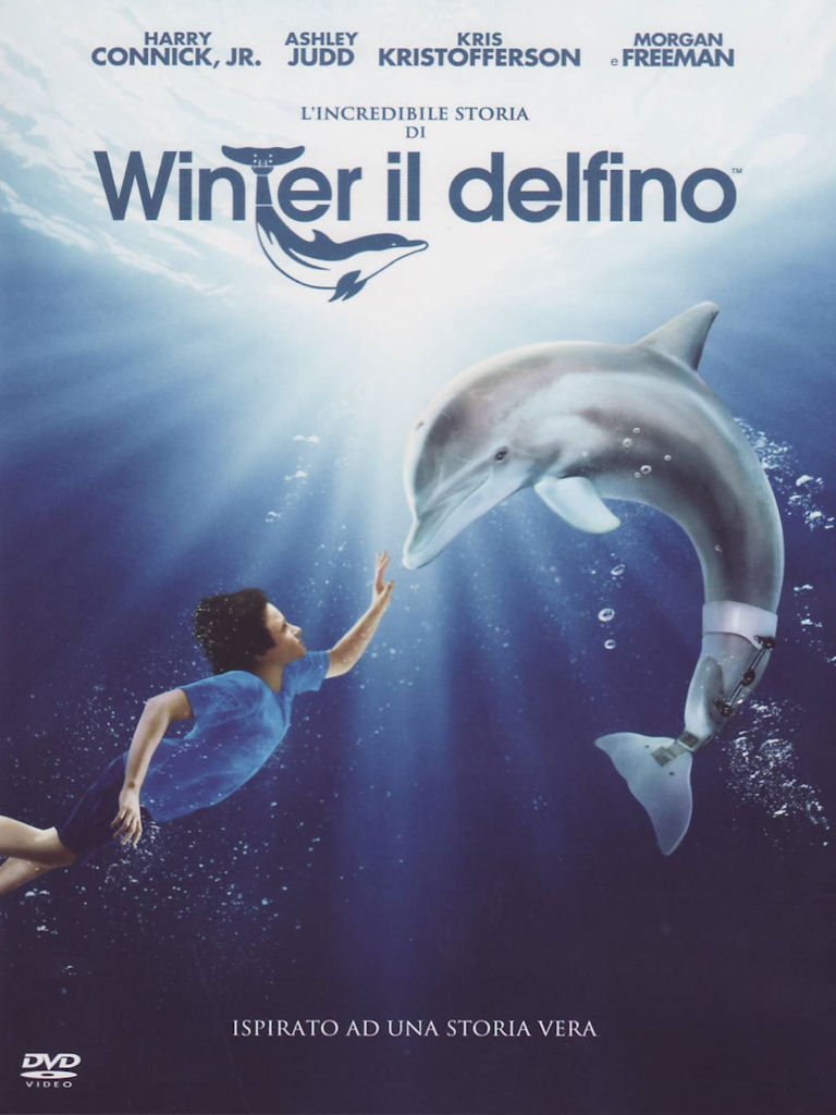 L'incredibile Storia Di Winter Il Delfino