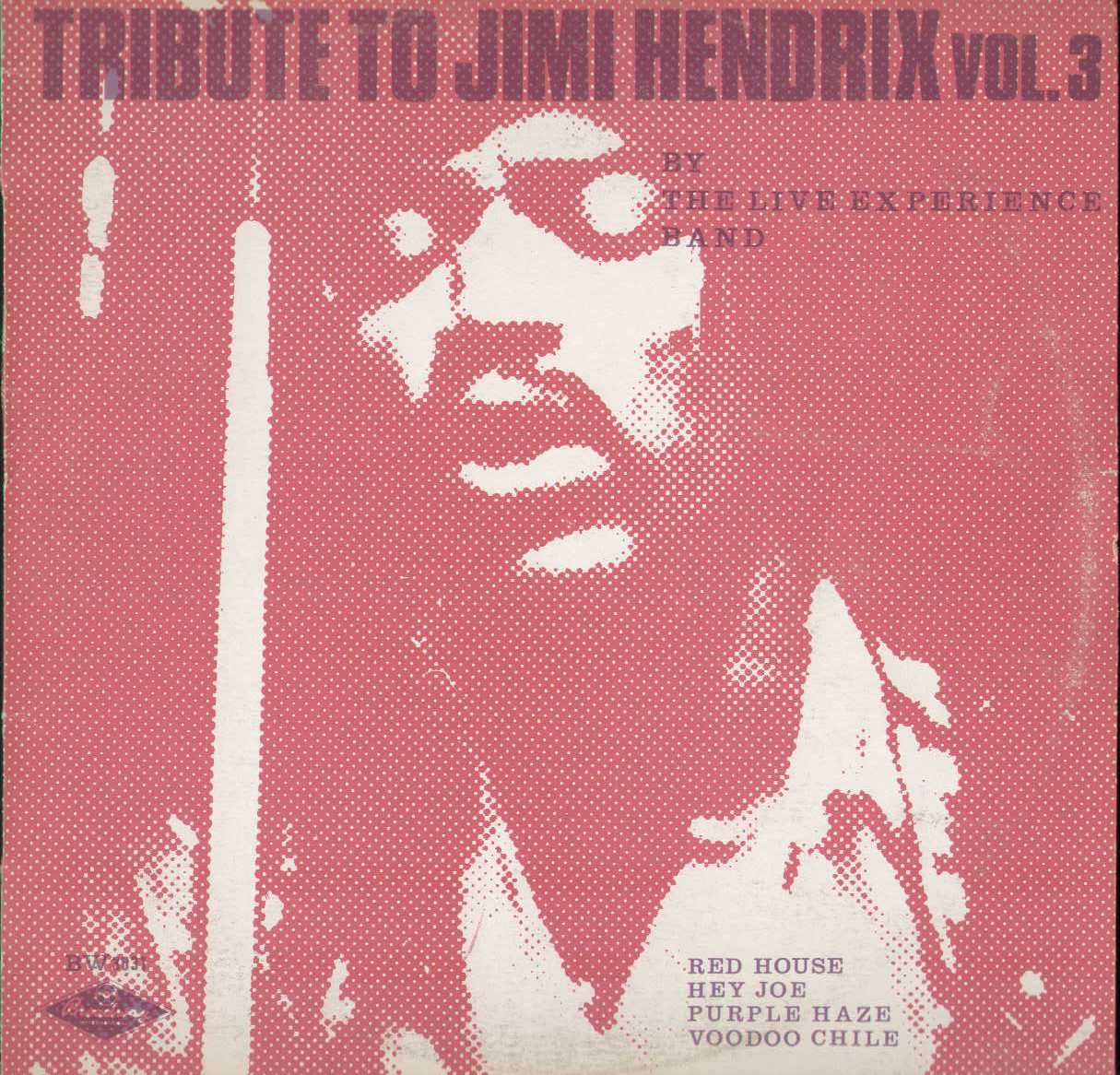 Tribute To Jimi Hendrix Vol 3