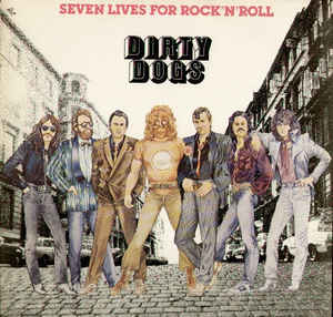 Seven Lives For Rock N Roll