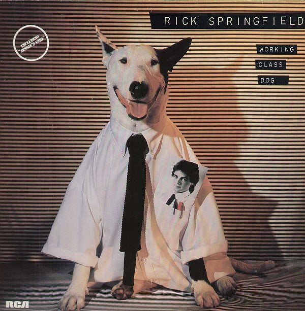 Working Class Dog