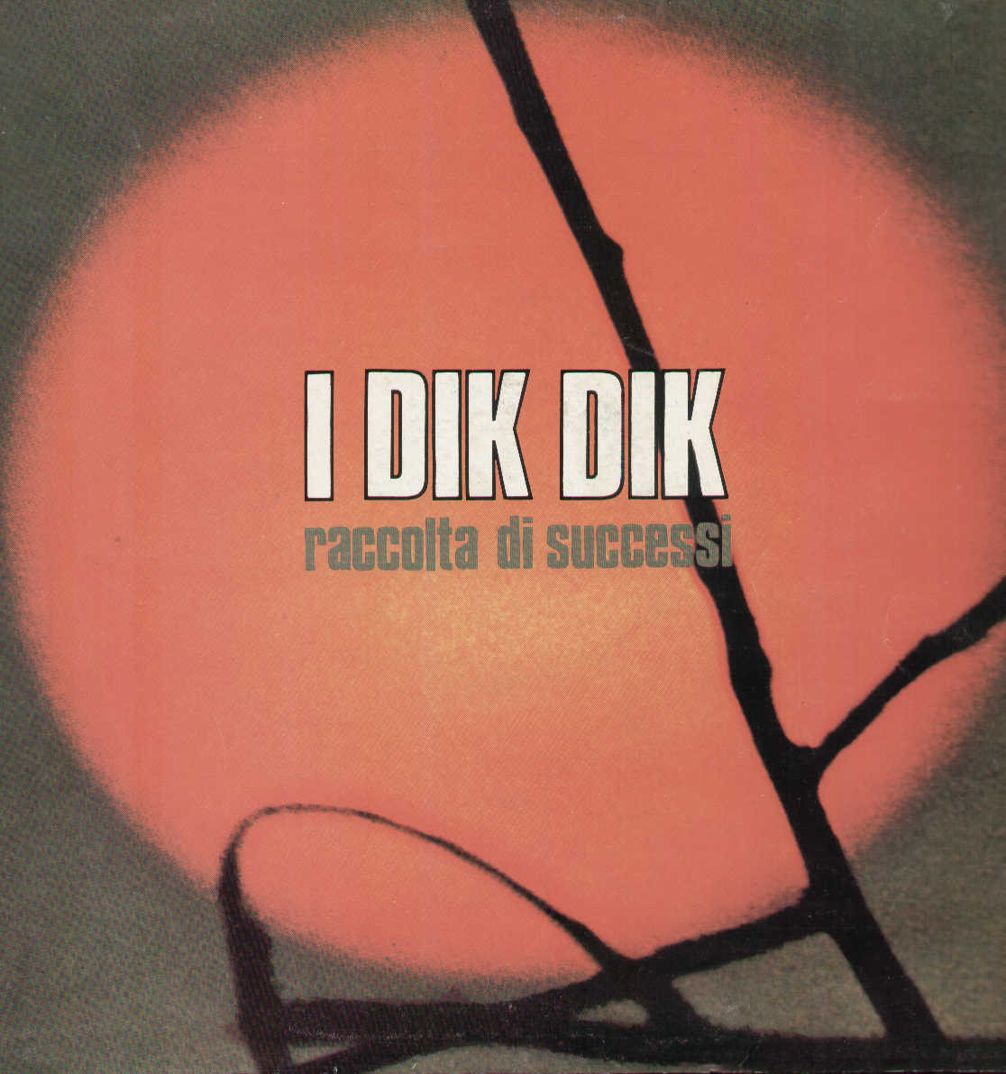 Raccolta Di Successi