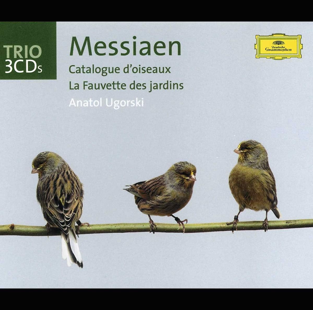 Catalogue D'Oiseaux  La Fauvette Des Jardins