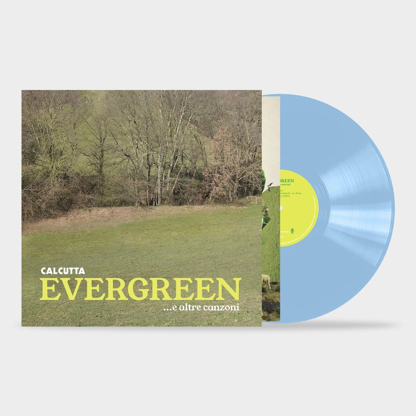 Evergreen...e altre canzoni Limited Edition