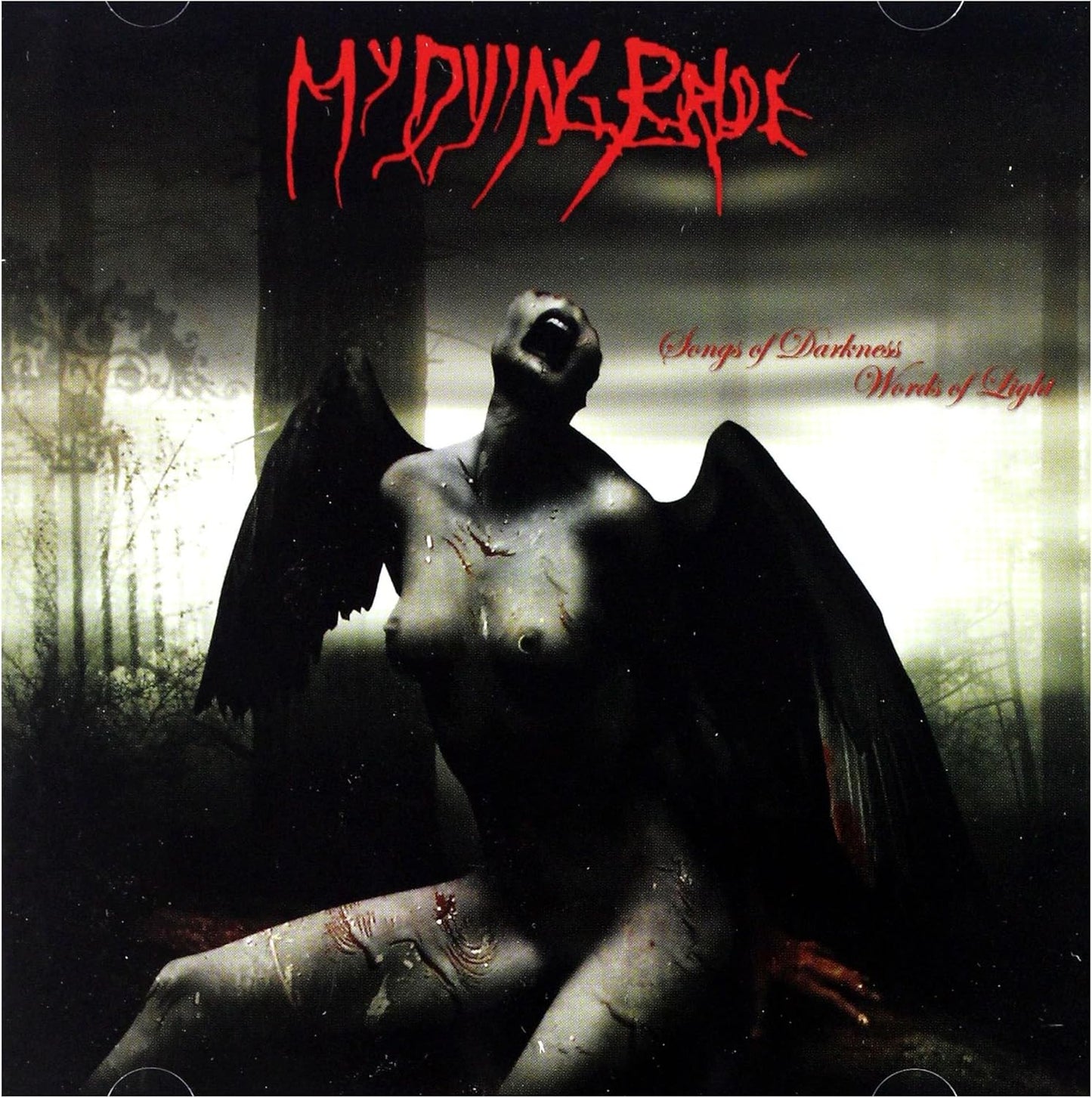 Songs Of Darkness Words Of Light