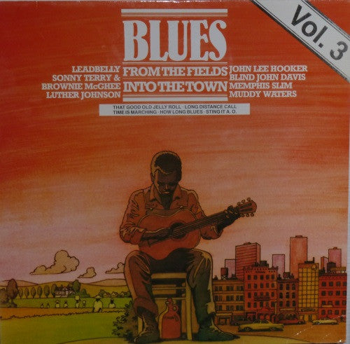 Blues From The Fields Into The Town Vol. 3