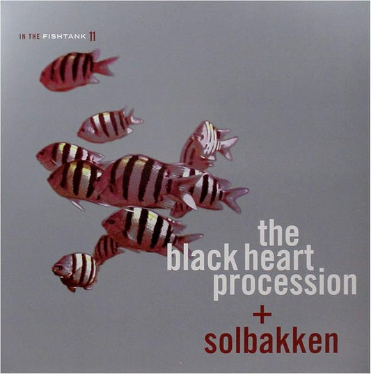 In The Fishtank 11 Limited Edition RSD