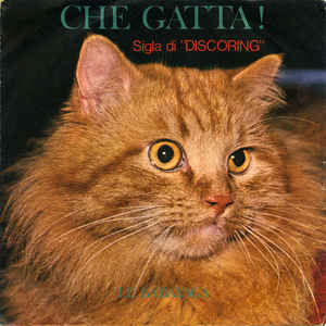 Che Gatta / Flop