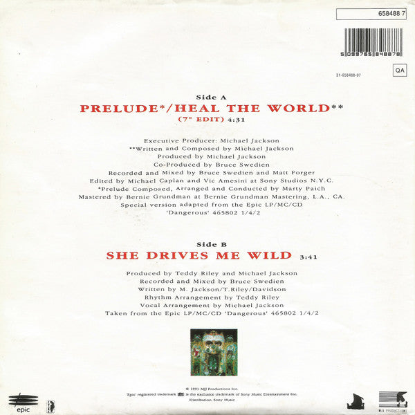 Heal The World / She Drives Me Wild Special Poster Bag