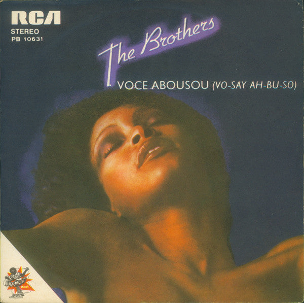 Voce Abusou  / Brothers Theme