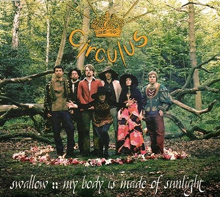 Swallow / My Body Is Made Of Sunlight