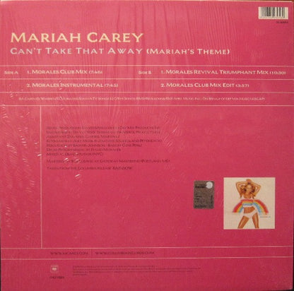 Can't Take That Away Mariah's Theme