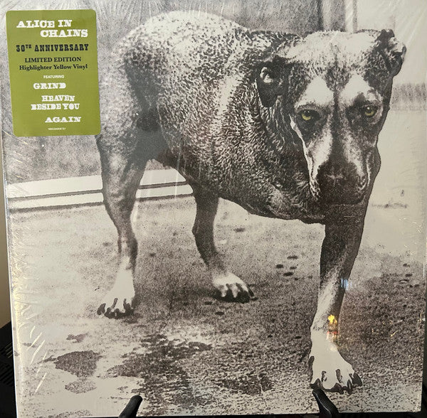 Alice In Chains Limited Edition