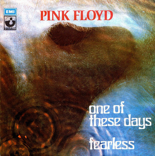 One Of These Days / Fearless